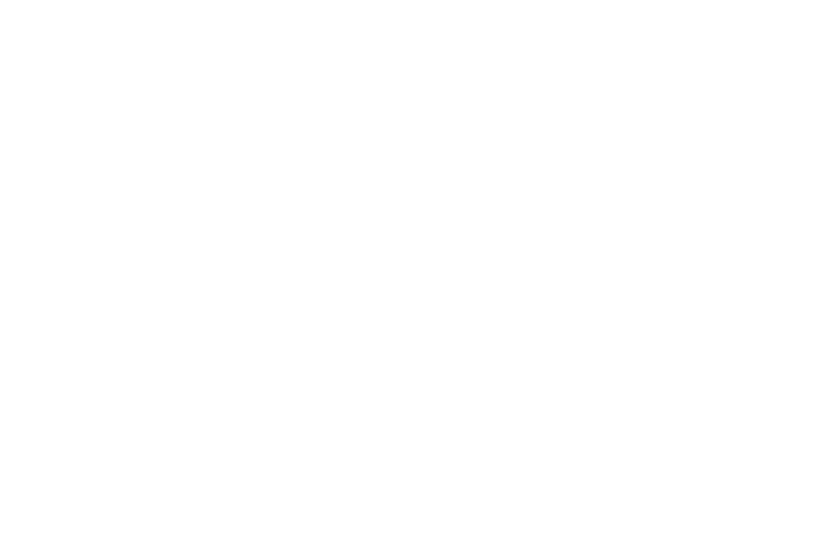 The Home Depot